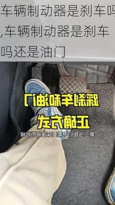 车辆制动器是刹车吗,车辆制动器是刹车吗还是油门