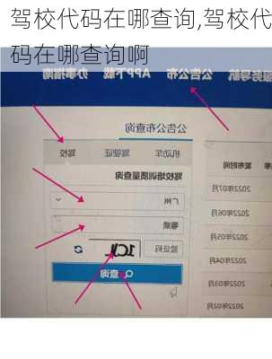 驾校代码在哪查询,驾校代码在哪查询啊