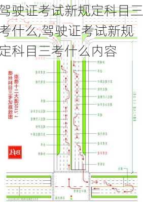 驾驶证考试新规定科目三考什么,驾驶证考试新规定科目三考什么内容