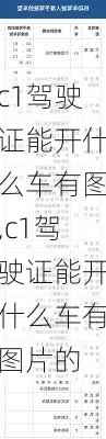 c1驾驶证能开什么车有图,c1驾驶证能开什么车有图片的