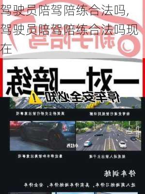 驾驶员陪驾陪练合法吗,驾驶员陪驾陪练合法吗现在