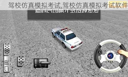 驾校仿真模拟考试,驾校仿真模拟考试软件