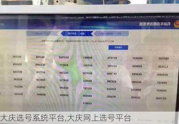 大庆选号系统平台,大庆网上选号平台