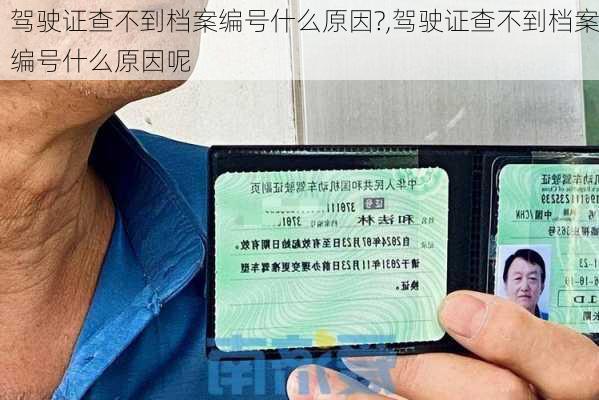 驾驶证查不到档案编号什么原因?,驾驶证查不到档案编号什么原因呢