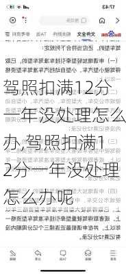 驾照扣满12分一年没处理怎么办,驾照扣满12分一年没处理怎么办呢