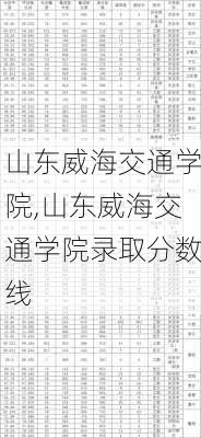 山东威海交通学院,山东威海交通学院录取分数线
