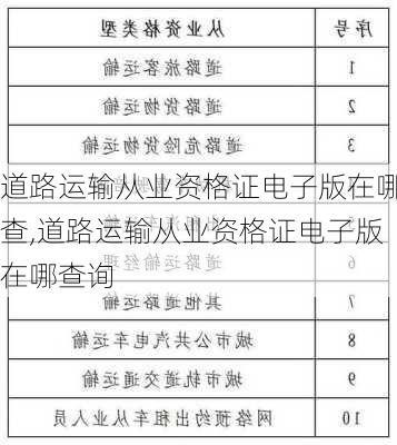 道路运输从业资格证电子版在哪查,道路运输从业资格证电子版在哪查询