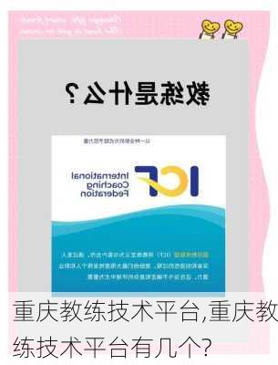 重庆教练技术平台,重庆教练技术平台有几个?