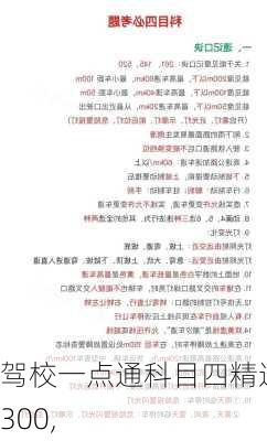驾校一点通科目四精选300,