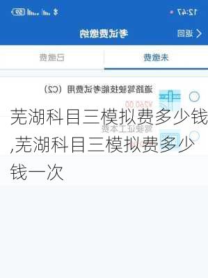 芜湖科目三模拟费多少钱,芜湖科目三模拟费多少钱一次