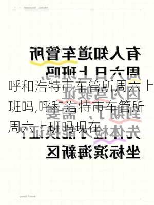 呼和浩特市车管所周六上班吗,呼和浩特市车管所周六上班吗现在
