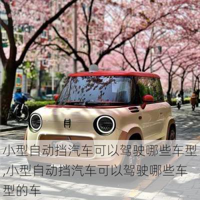 小型自动挡汽车可以驾驶哪些车型,小型自动挡汽车可以驾驶哪些车型的车