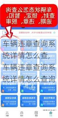 车辆违章查询系统详情怎么查,车辆违章查询系统详情怎么查询