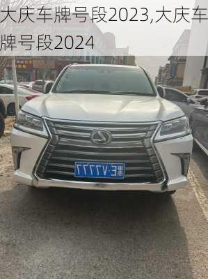 大庆车牌号段2023,大庆车牌号段2024
