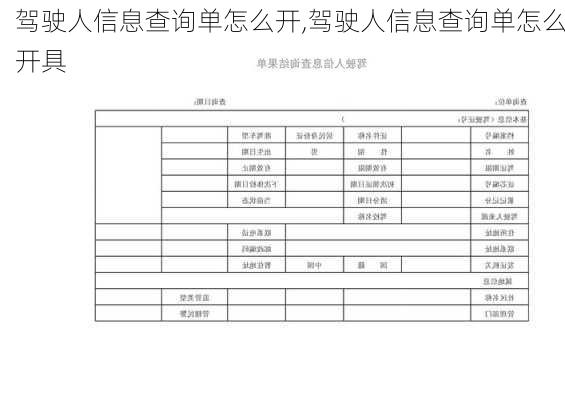 驾驶人信息查询单怎么开,驾驶人信息查询单怎么开具