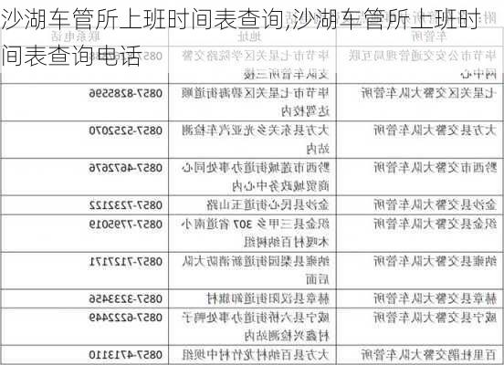 沙湖车管所上班时间表查询,沙湖车管所上班时间表查询电话