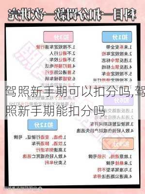 驾照新手期可以扣分吗,驾照新手期能扣分吗