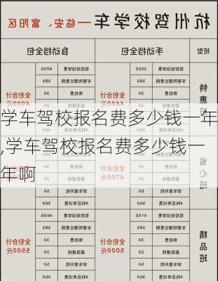 学车驾校报名费多少钱一年,学车驾校报名费多少钱一年啊