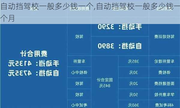 自动挡驾校一般多少钱一个,自动挡驾校一般多少钱一个月