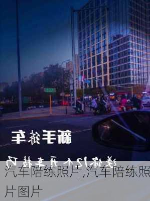 汽车陪练照片,汽车陪练照片图片