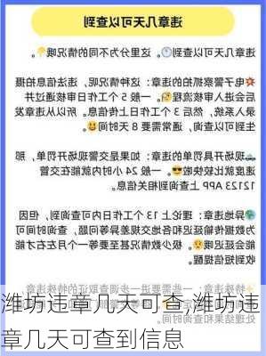 潍坊违章几天可查,潍坊违章几天可查到信息