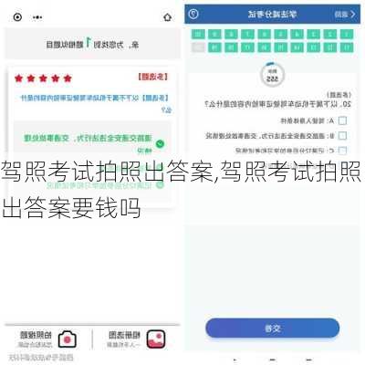 驾照考试拍照出答案,驾照考试拍照出答案要钱吗