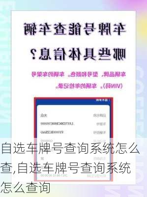 自选车牌号查询系统怎么查,自选车牌号查询系统怎么查询