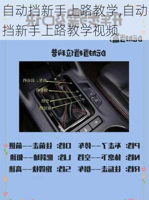 自动挡新手上路教学,自动挡新手上路教学视频